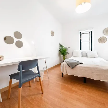 51 Bedroom Apartment Over Marqus De Pombal