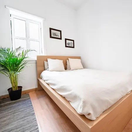 51 Bedroom Apartment Over Marqus De Pombal